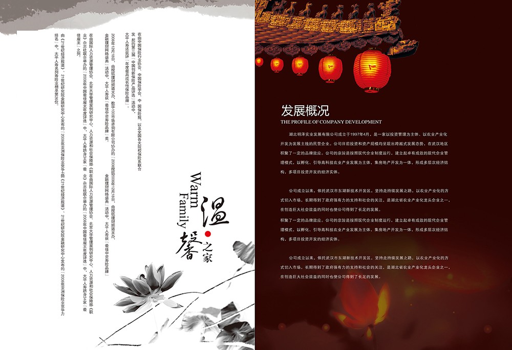 中國(guó)韻味畫冊(cè)設(shè)計(jì),古風(fēng)畫冊(cè)設(shè)計(jì)