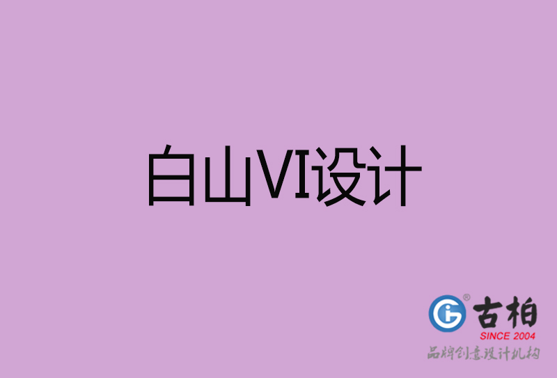 白山品牌VI設(shè)計-標(biāo)志VI設(shè)計-白山VI設(shè)計公司