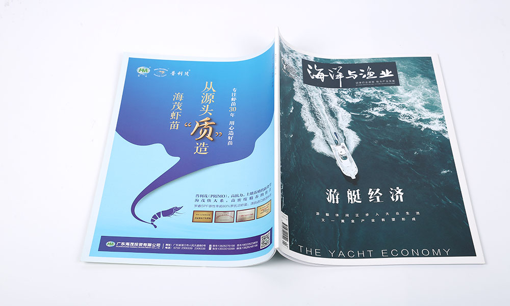 景區(qū)期刊雜志設計,景區(qū)期刊雜志設計公司